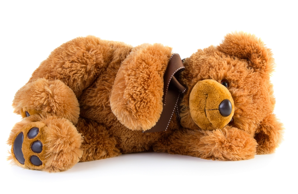 Teddy Day Feb 10