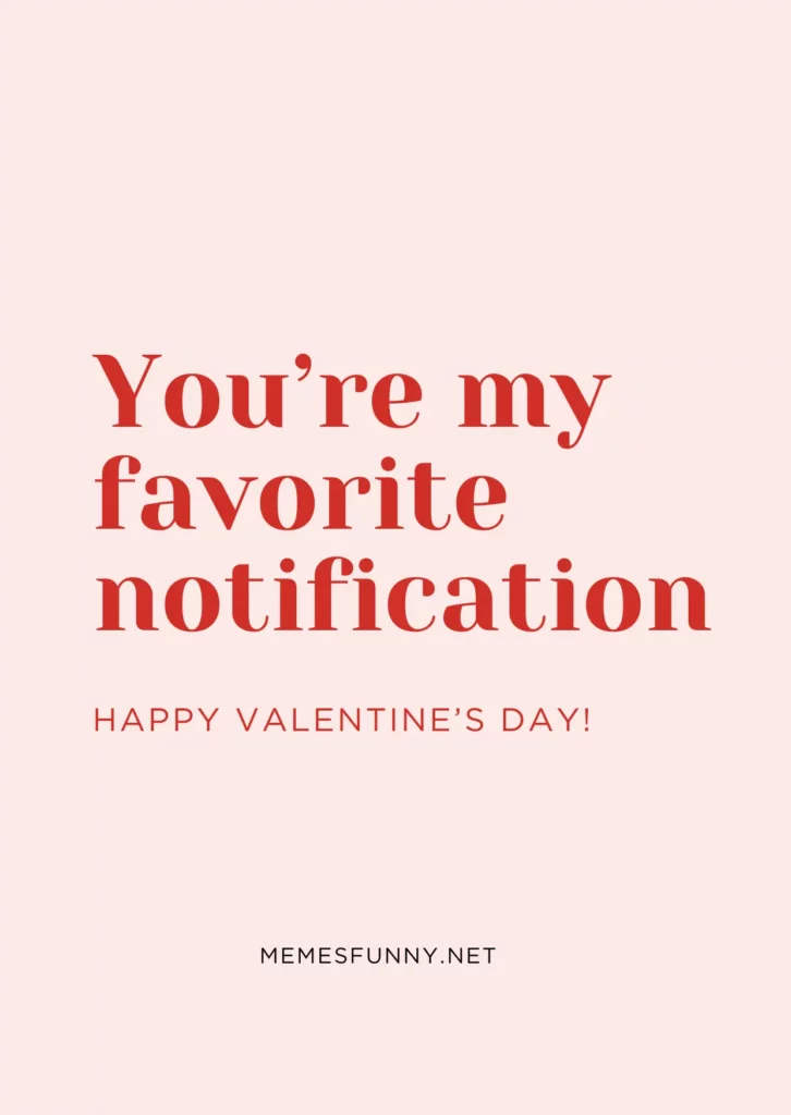 Valentine's Day Quotes Funny