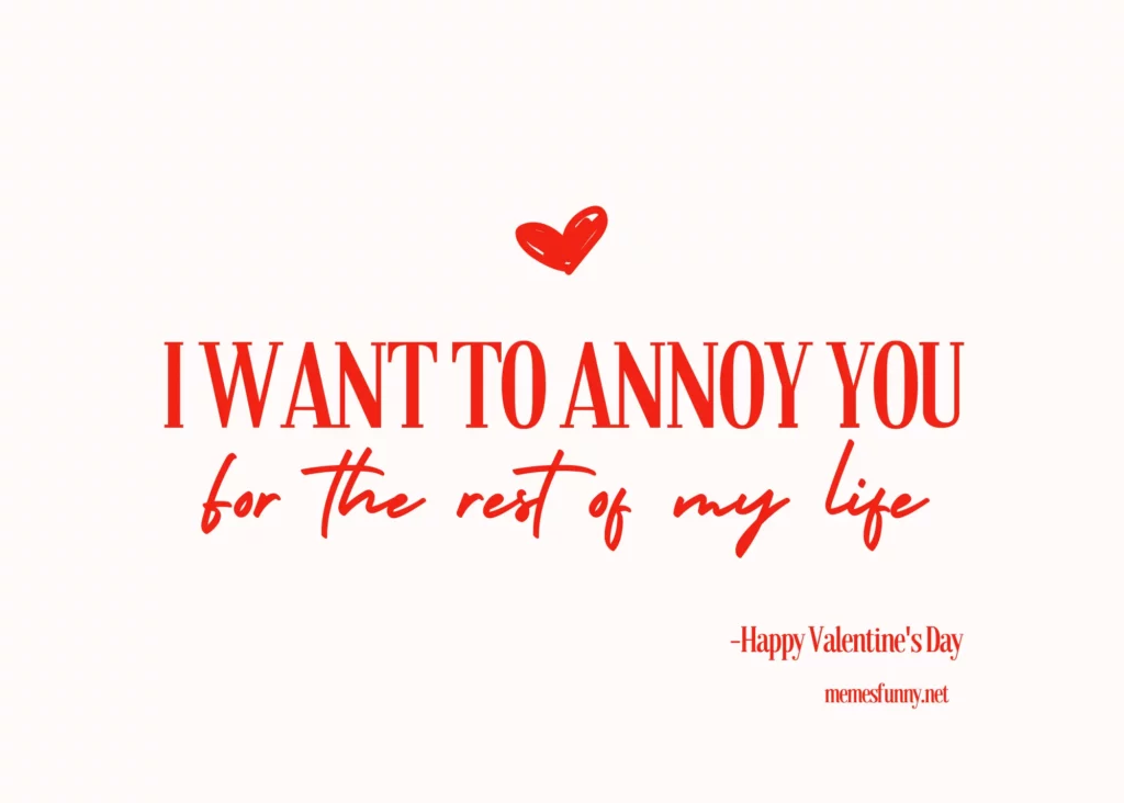 Valentine's Day Quotes Funny