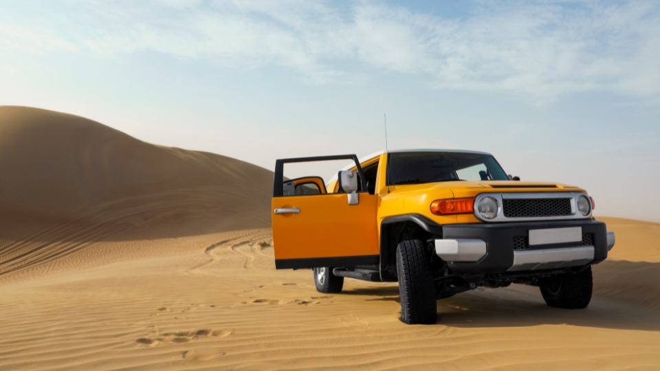 Dubai Safari drives on dunes