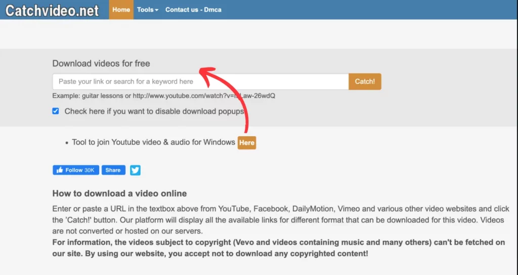 Catchvideo.net Best video downloader 