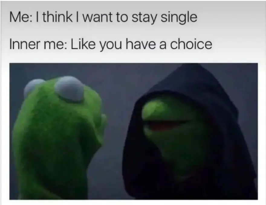 Funny Memes About Being Single