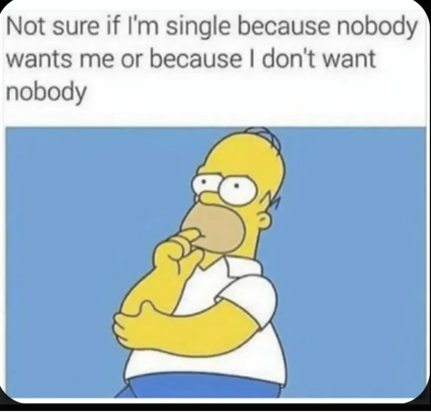 Funny Memes About Being Single