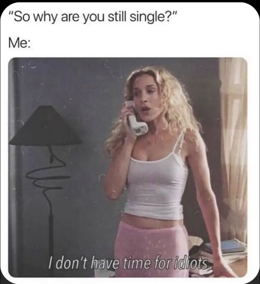 Funny Memes about Being Single