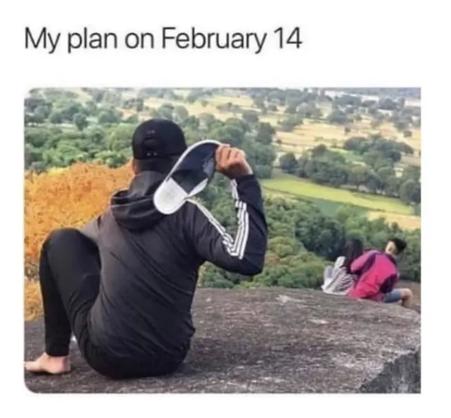 Meme About being single on Valentine’s Day