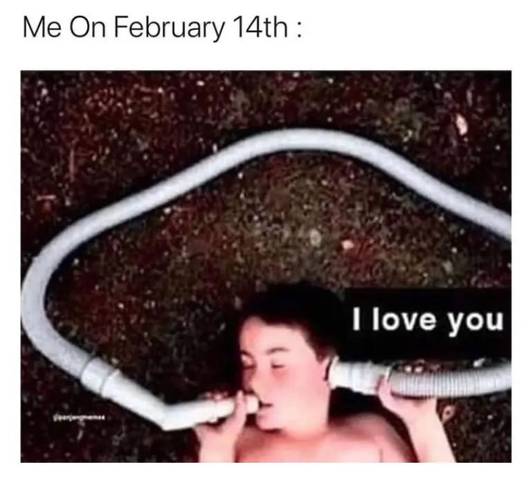 Meme About being single on Valentine’s Day