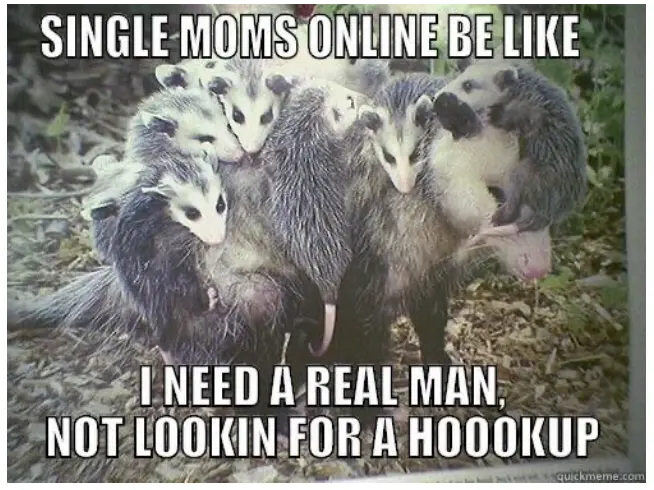 Memes about being a single mom