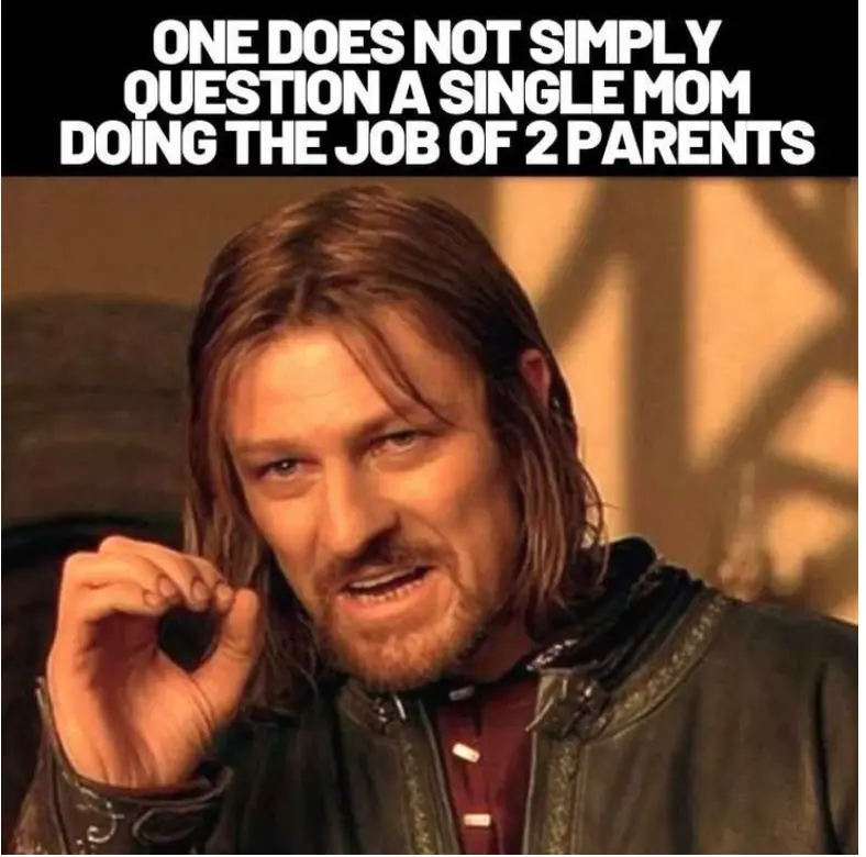 Memes about being a single mom